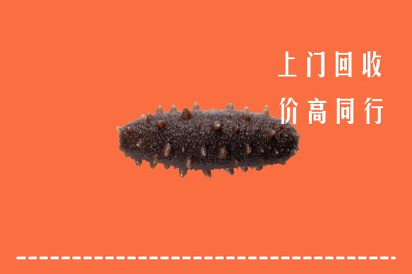 盘锦市大洼回收海参
