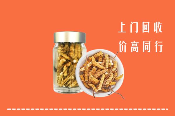 盘锦市大洼高价回收冬虫夏草