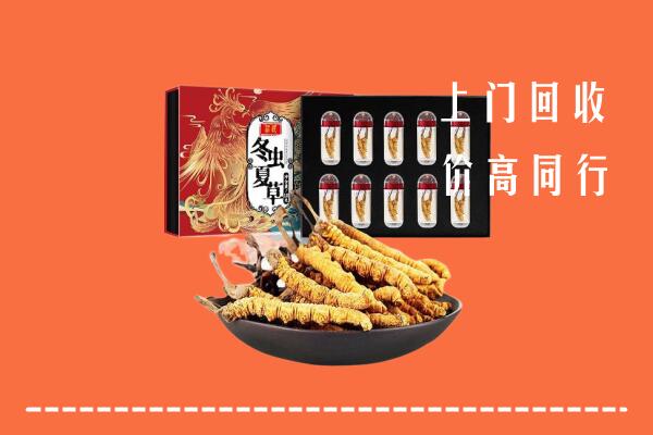 盘锦市大洼回收虫草